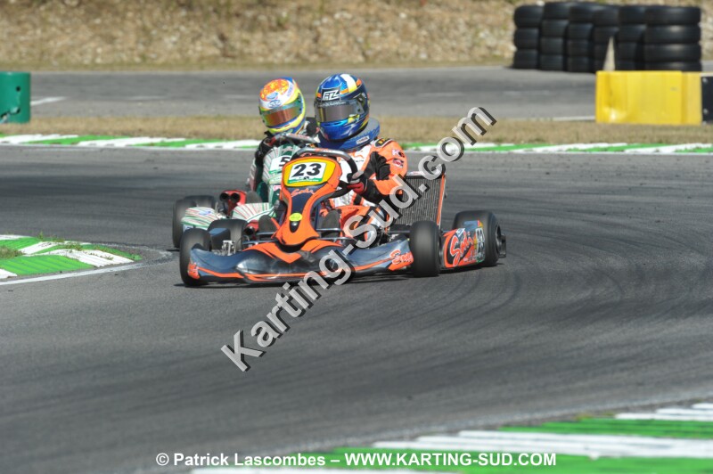 DSC_ (1111).JPG